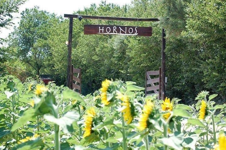 Agriturismo Hornos นูมานา ภายนอก รูปภาพ